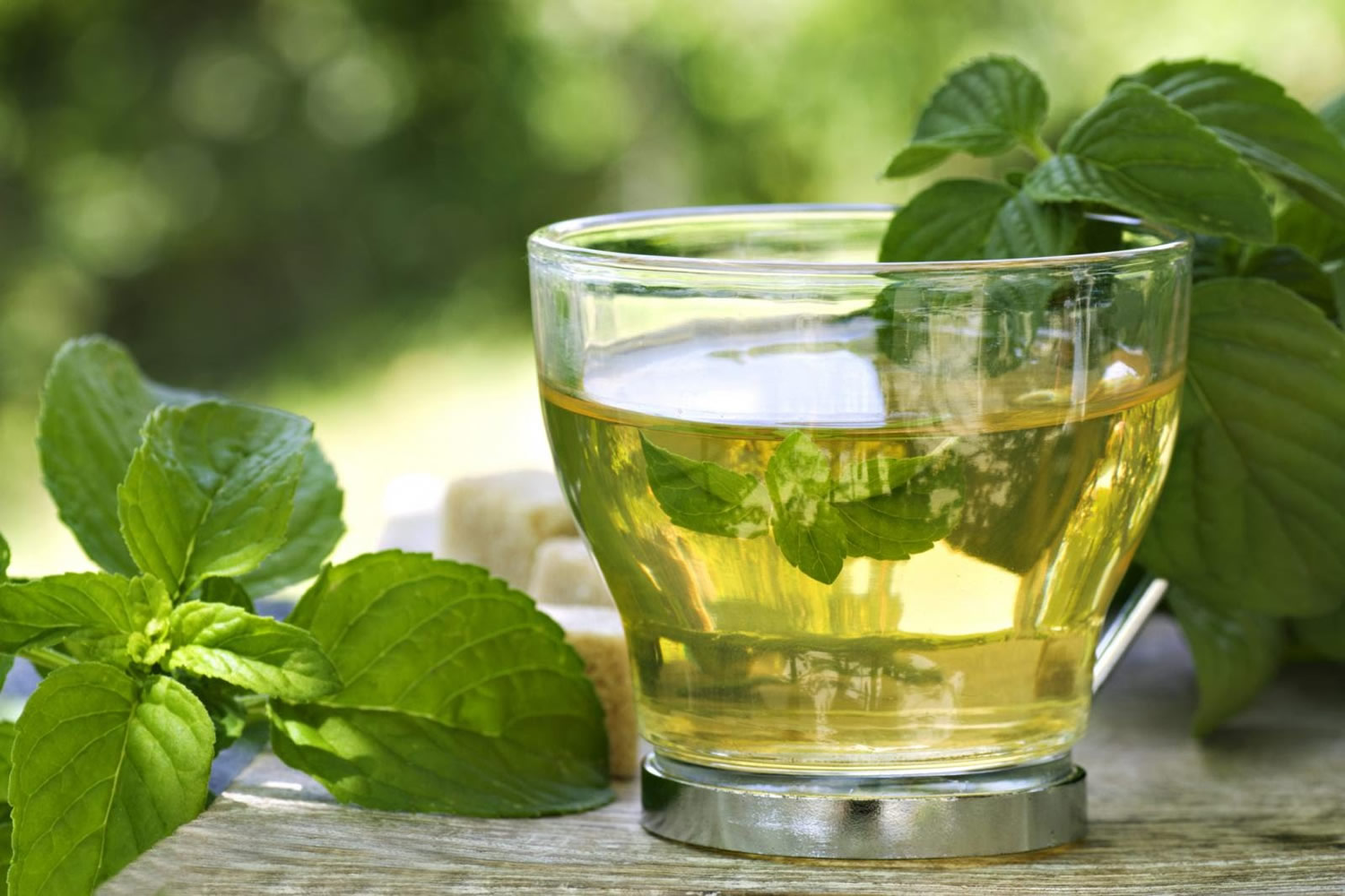 Peppermint Tea Nutrition Facts Peppermint Tea Benefits Side Effects