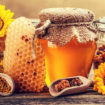 royal jelly