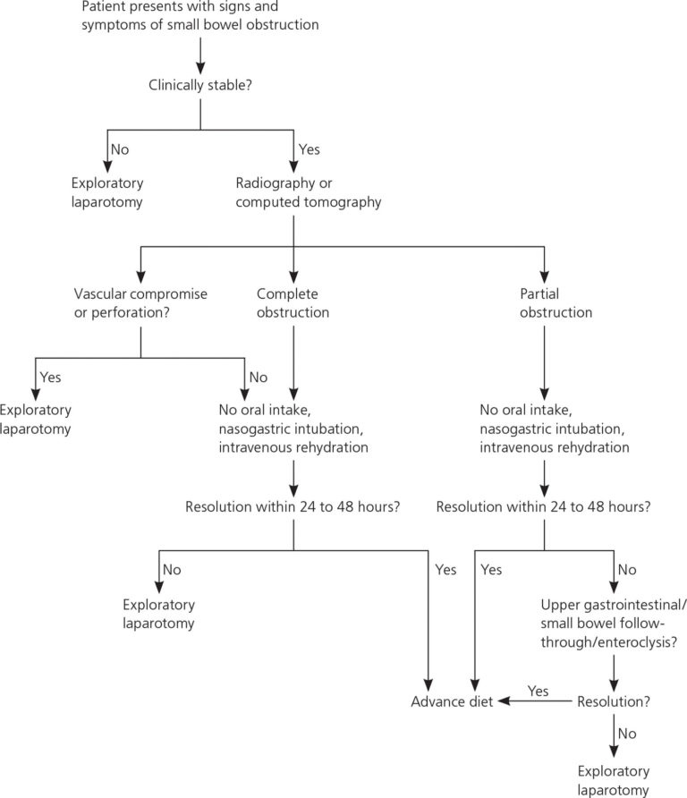 Bowel Obstruction - Small & Large - Causes, Symptoms, Treatment