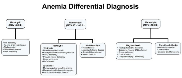 Normocytic Anemia - Causes, Signs and symptoms, Treatment