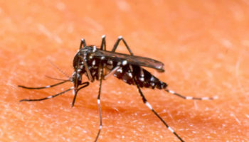 hemorrhagic fever