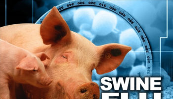 swine flu