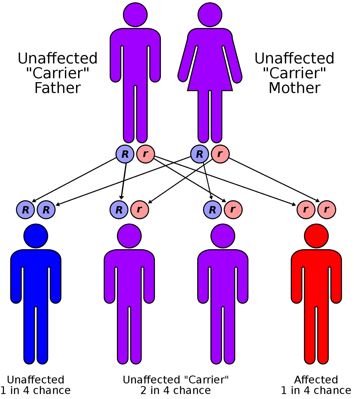 thalassemia inheritance pattern