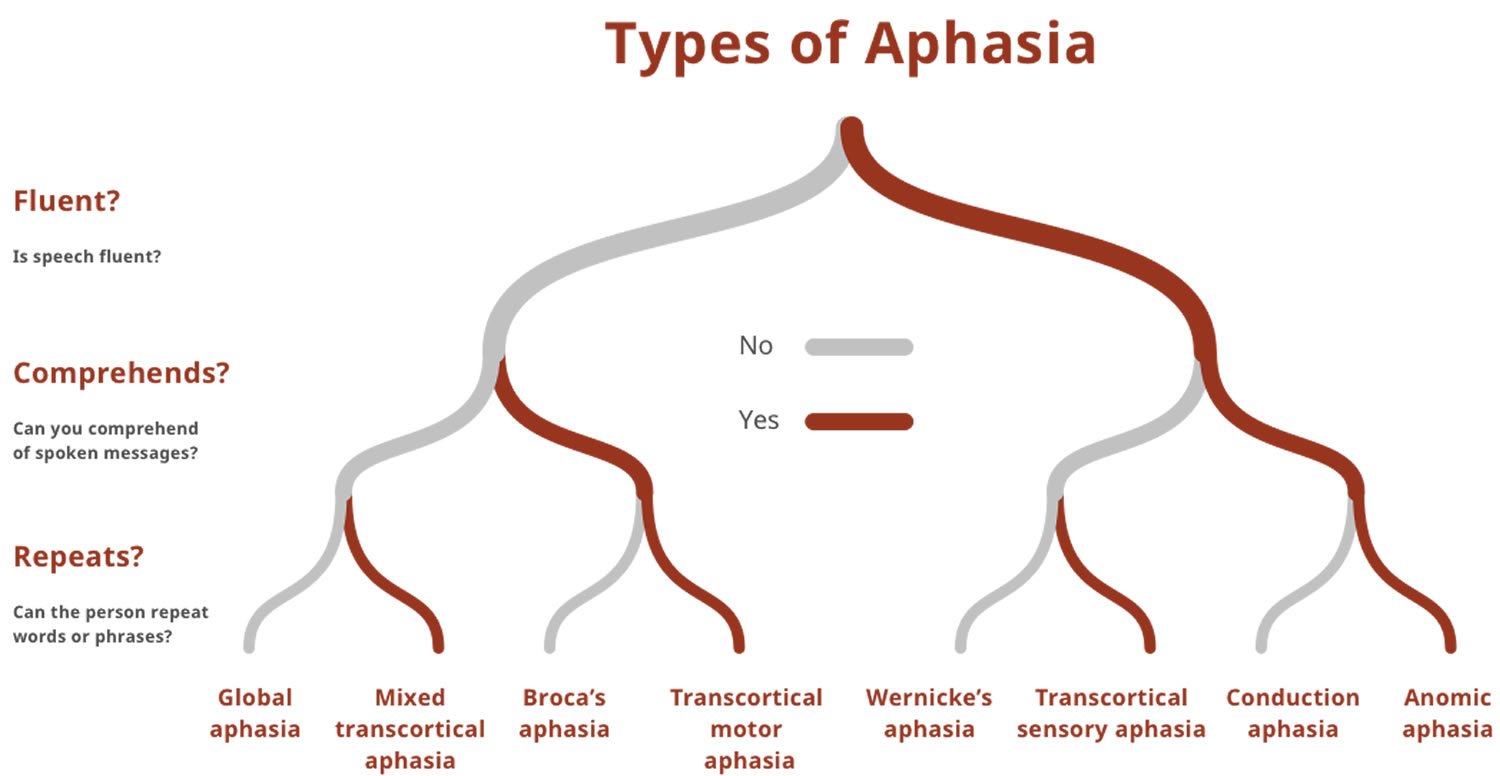 What Does Non Fluent Aphasia Mean