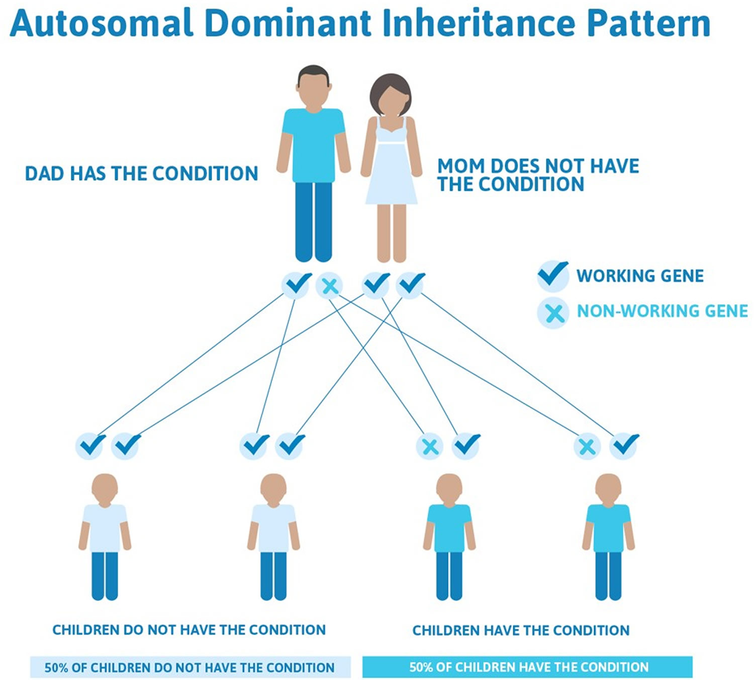 Blue-Yellow Color Blindness autosomal dominant inheritance pattern