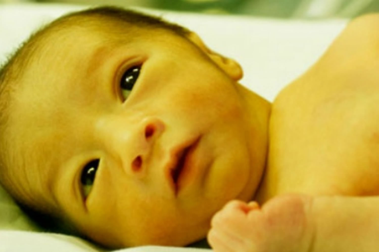 Newborn Infant Disease