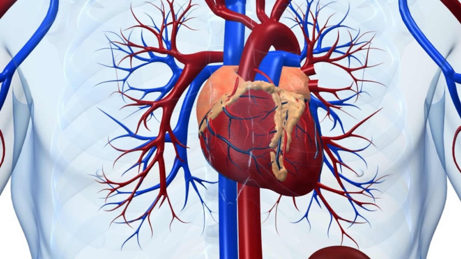 Cardiogenic Shock Causes Signs Symptoms Treatment