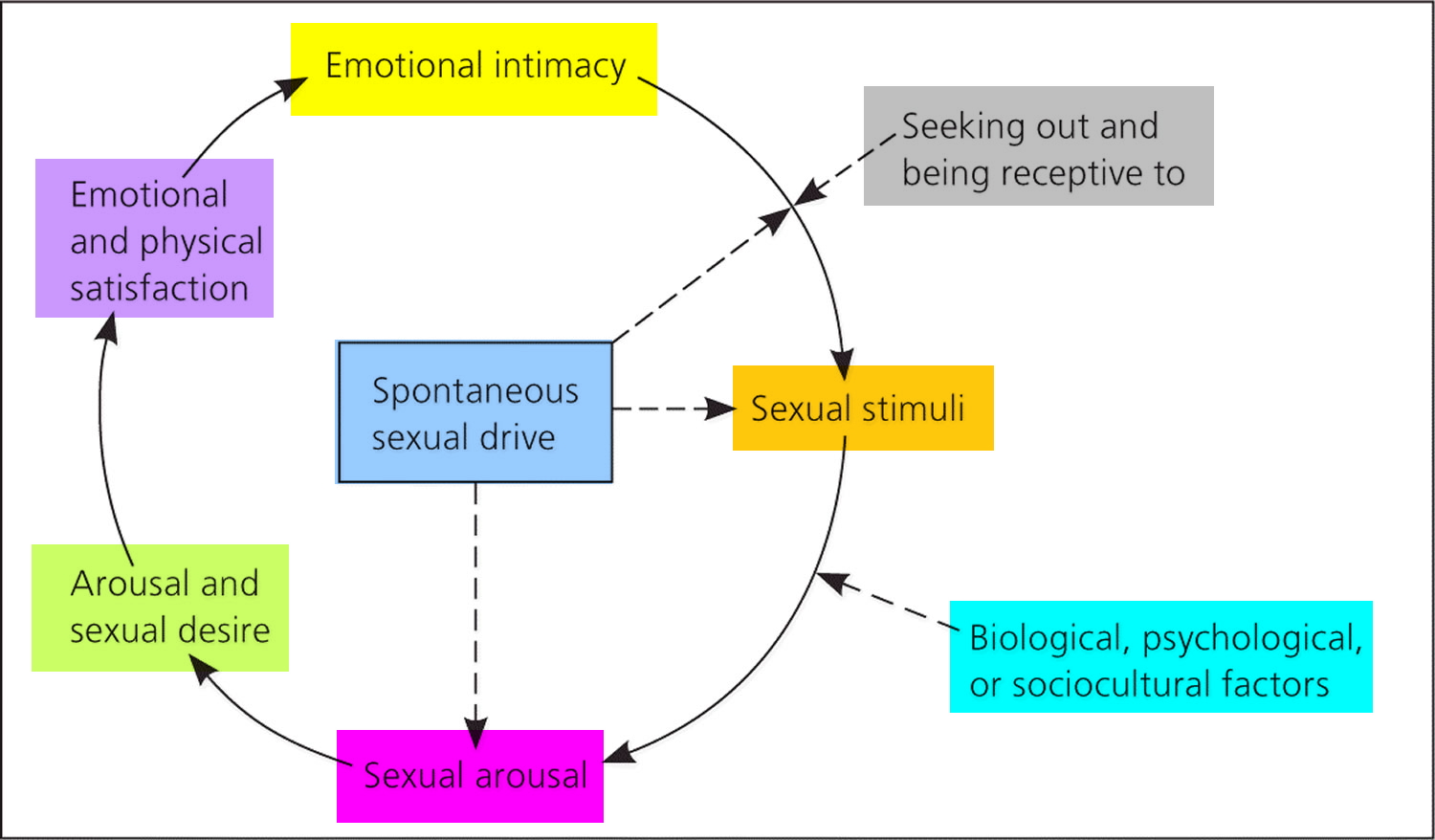 Overview of the Sexual Response Cycle