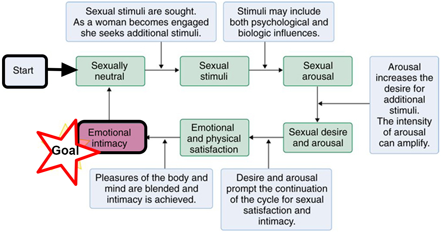 Female Sexual Dysfunction Causes Symptoms Medication And Treatment