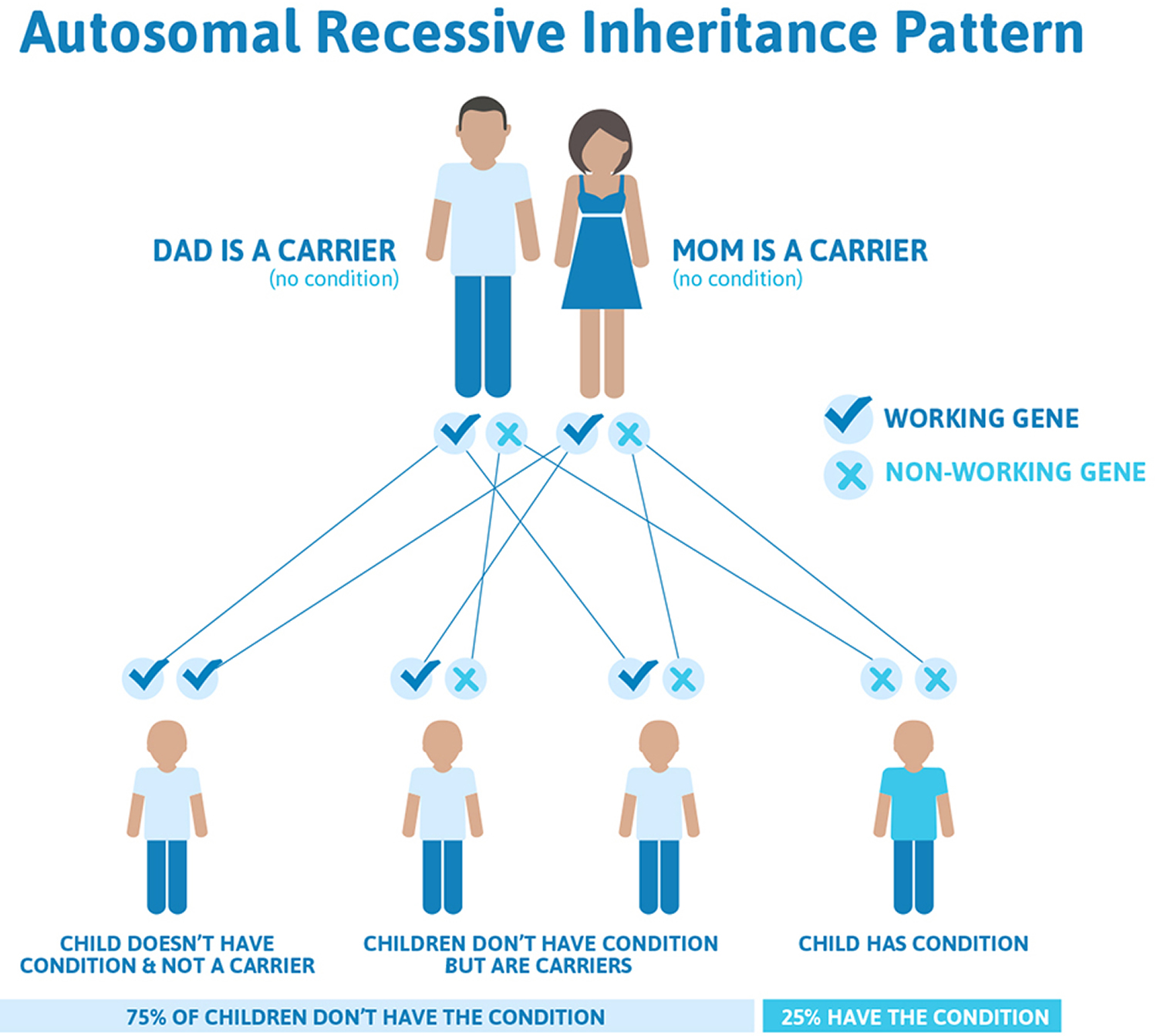 Krabbe Disease Causes Symptoms Life Expectancy Mri Treatment