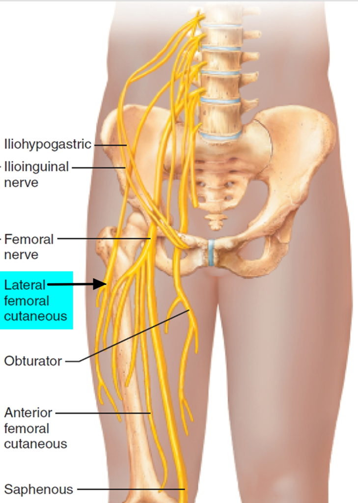 Meralgia Paresthetica - Causes, Symptoms, Pain Relief and Treatment