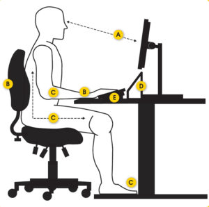Sitting Posture - Good Sitting Posture, Learn How to Sit Properly