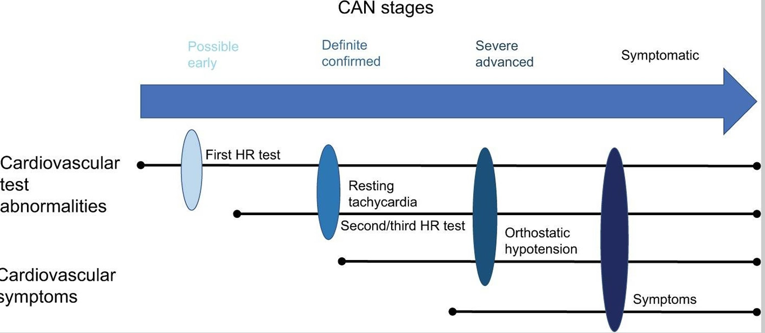 Early definition. Diabetic Autonomic neuropathy Diagnostic. Autonomic Symptoms. Orthostatic Test. Central Autonomic service System for Internal Emergencies.