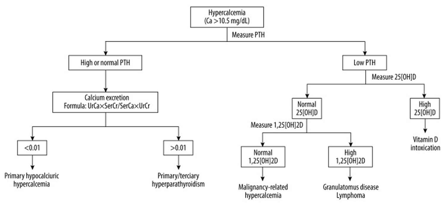 Hypercalcemia diagnostic algorithm