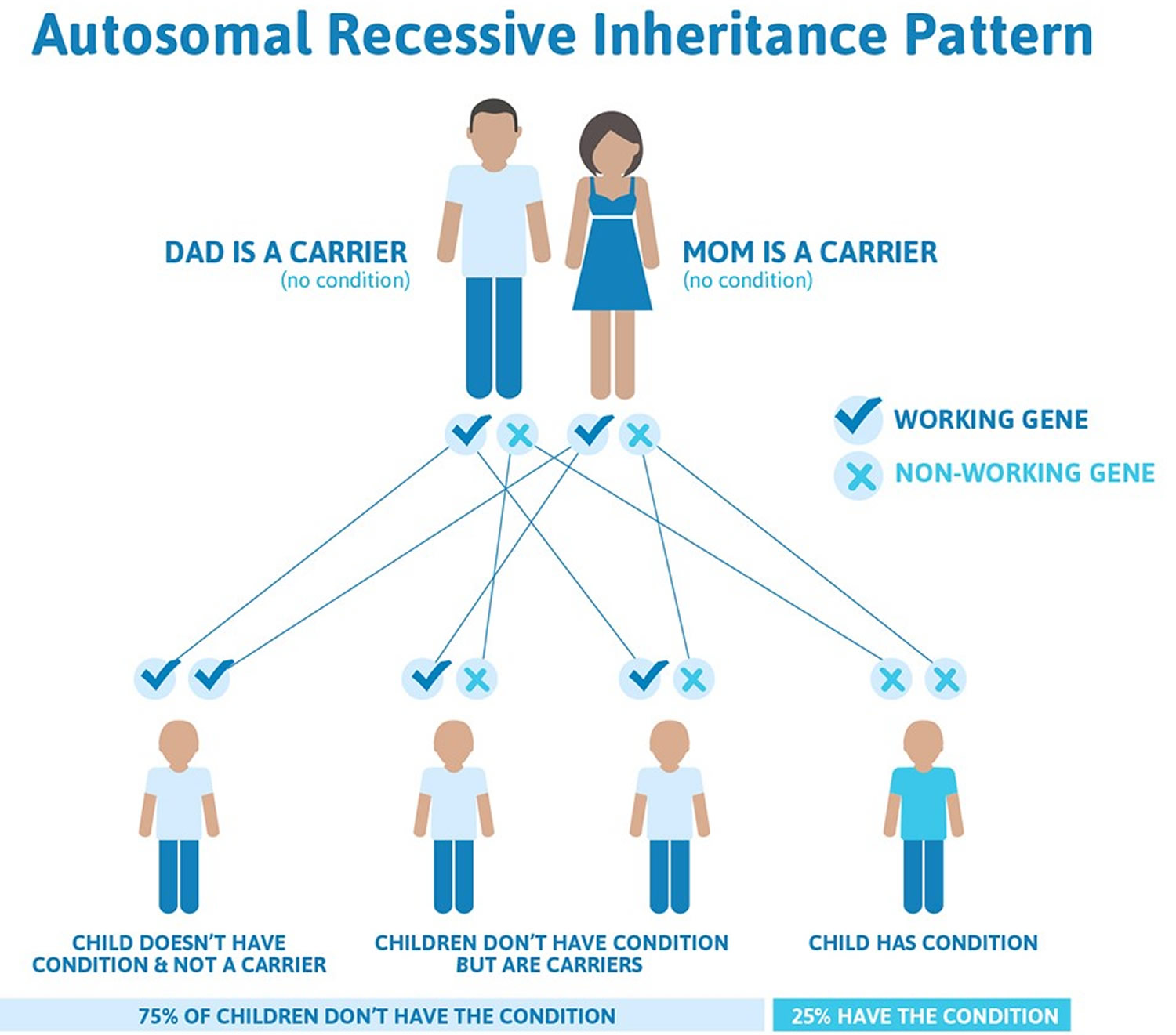 is phenylketonuria autosomal dominant or recessive Autosomal recessive