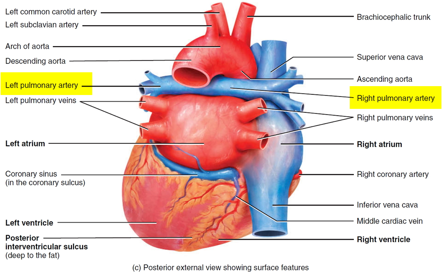 read Hernia Repair Sequelae