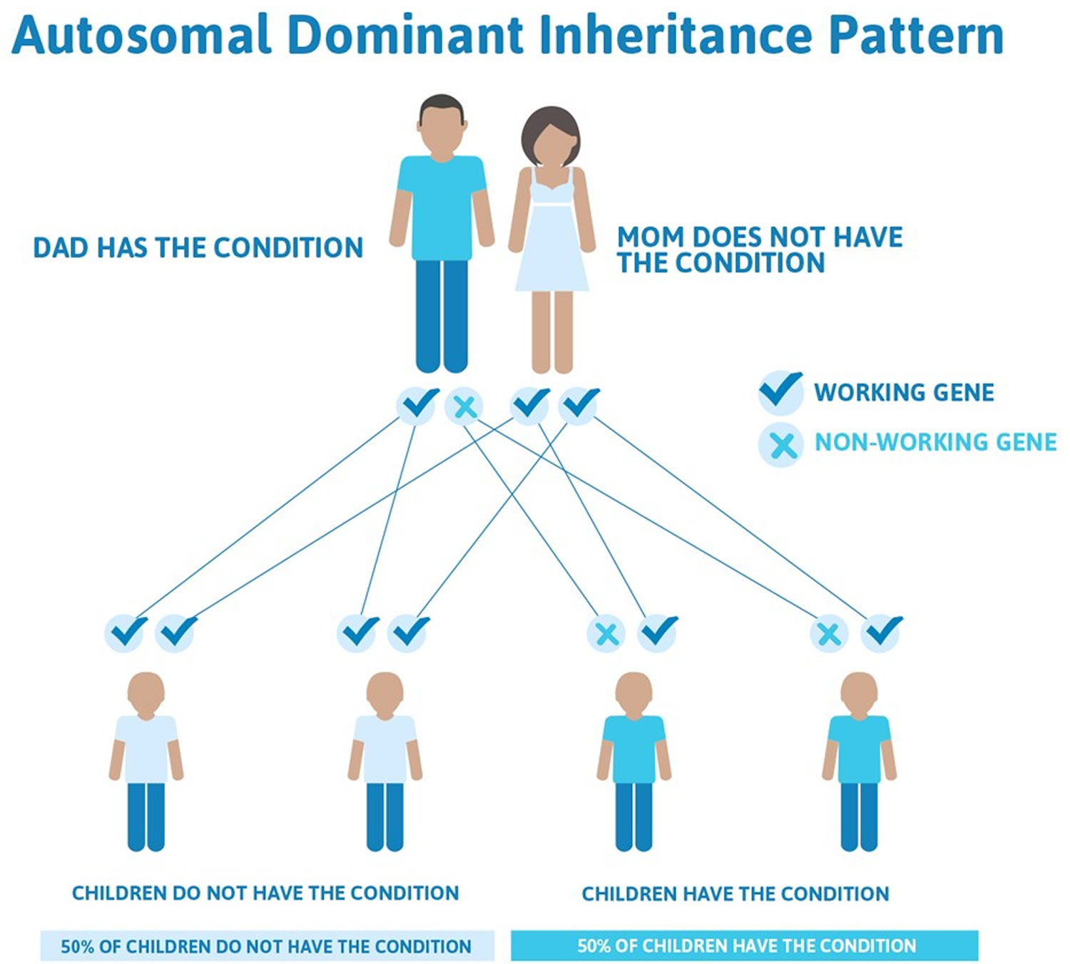 Stickler syndrome autosomal dominant inheritance pattern