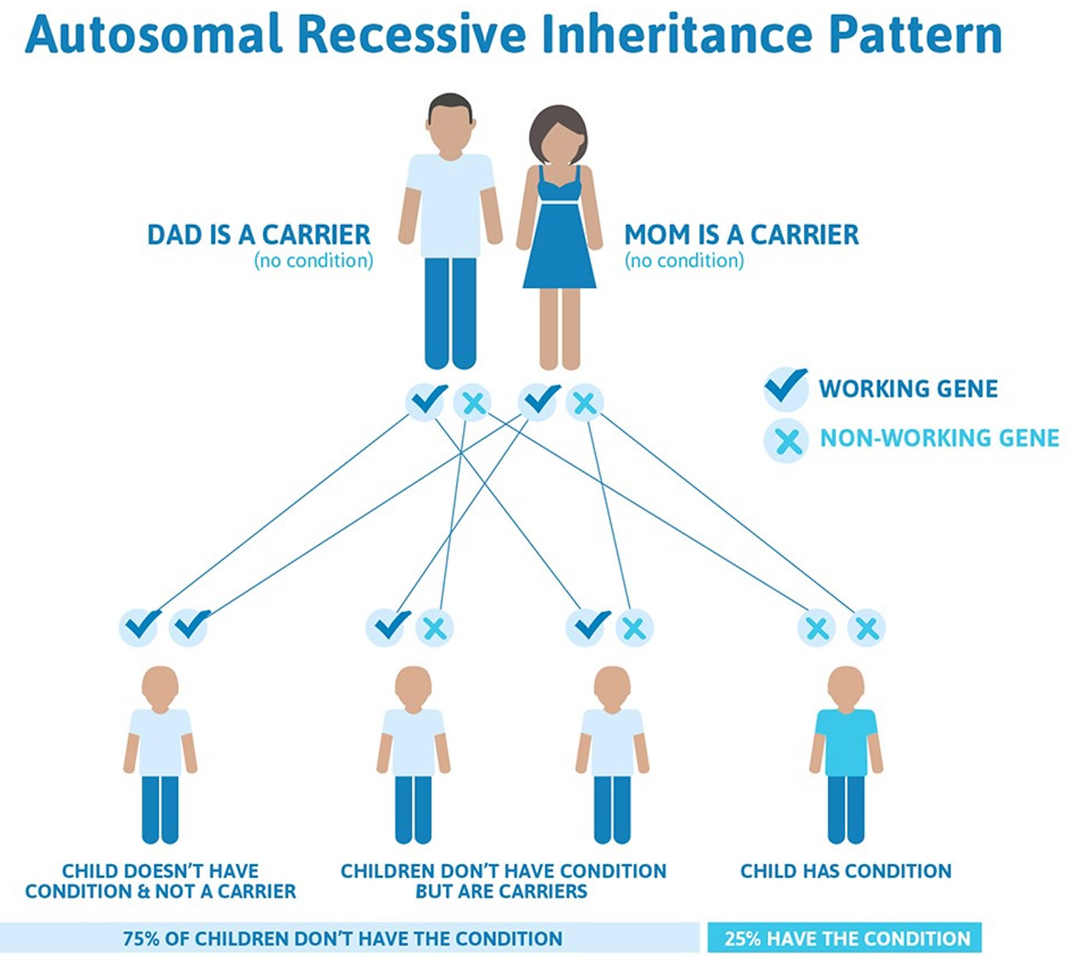 Stickler syndrome autosomal recessive inheritance pattern