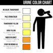 Urine Color - Chart, What Color Is Normal, What Does It Mean