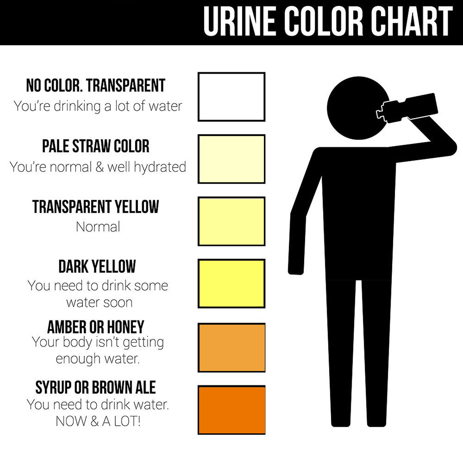 urine color chart what color is normal what does it mean