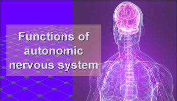 autonomic neuropathy