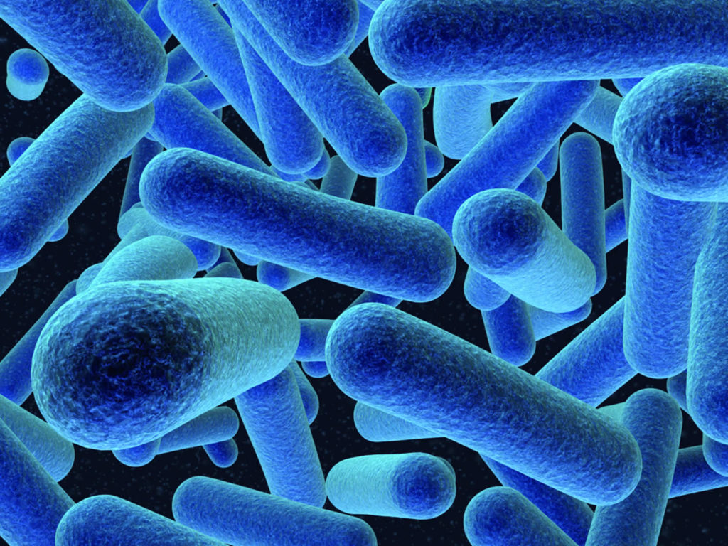 Listeria Causes, Signs, Symptoms, Outbreak, Treatment