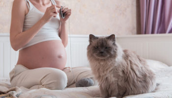 toxoplasmosis
