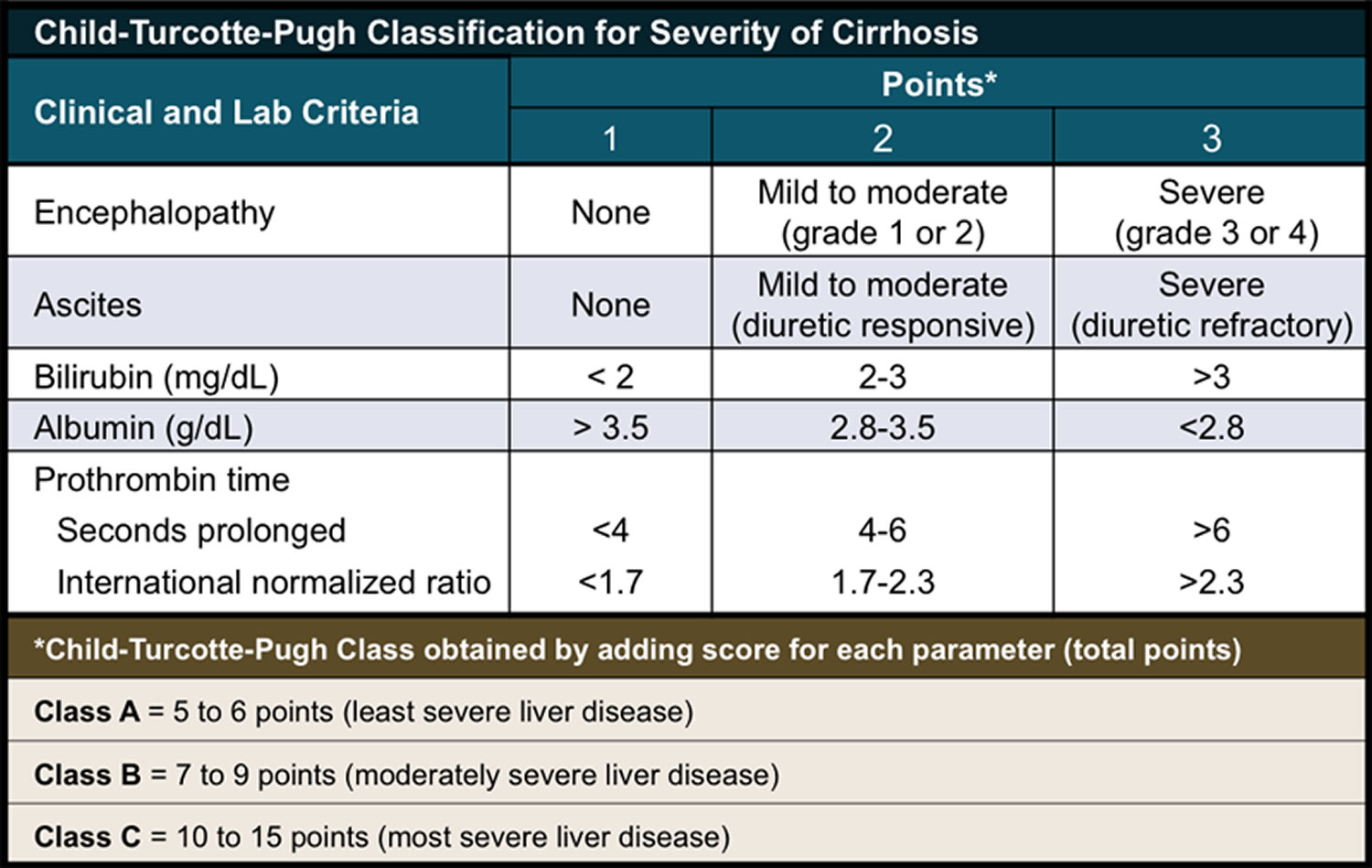 Child-Turcotte-Pugh Classification for Liver Cirrhosis Severity