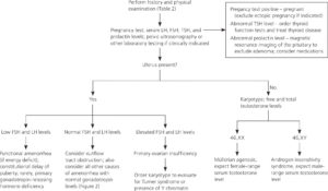 Amenorrhea - Causes, Symptoms, Diagnosis, Treatment