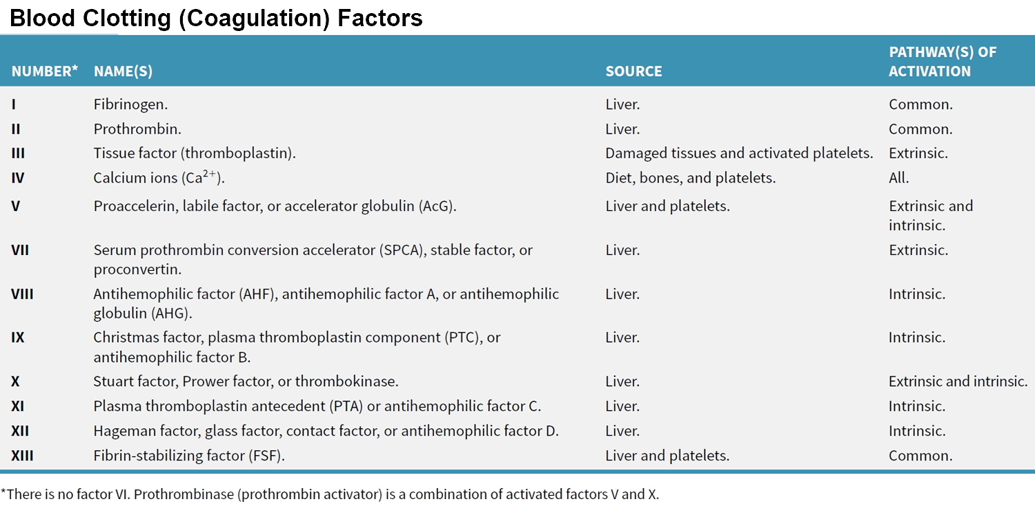 blood clotting and coagulation factors