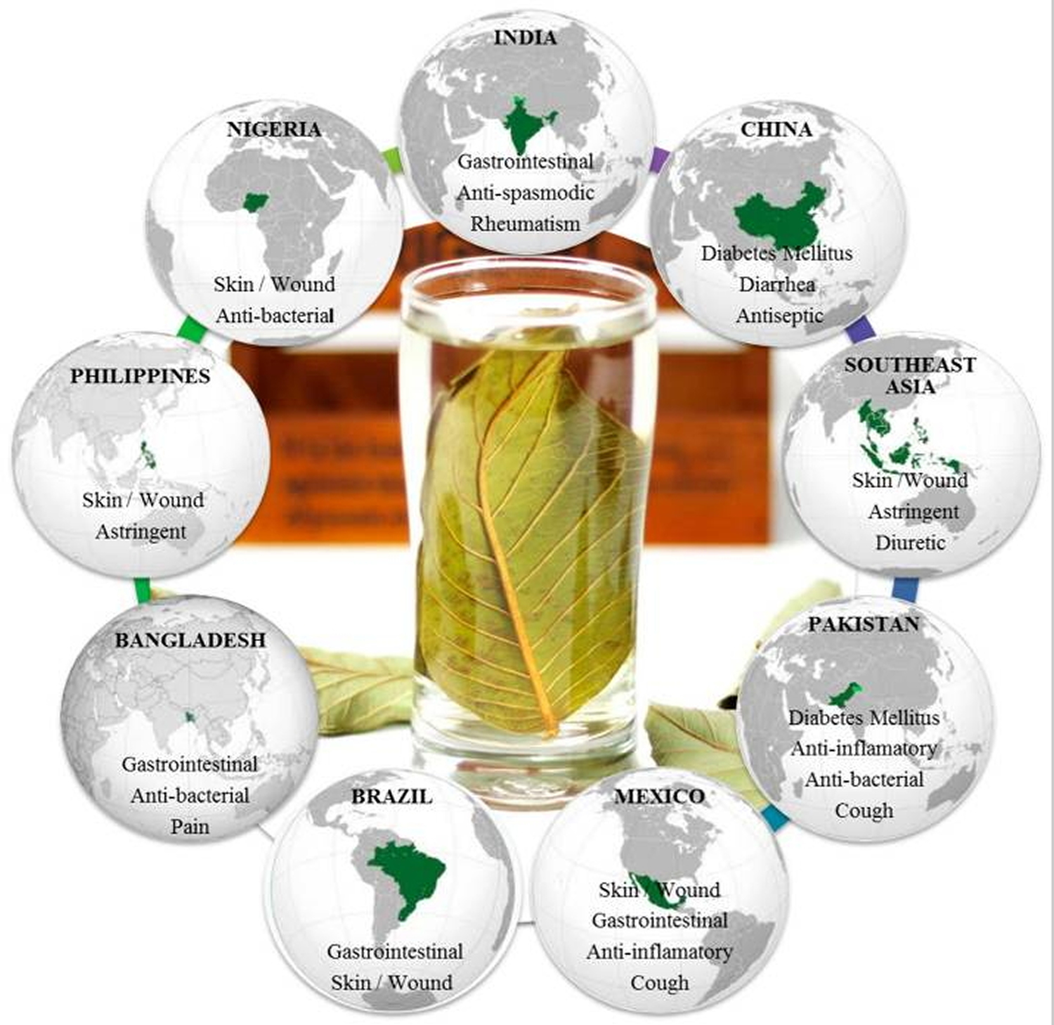 Main traditional uses of guava leaves
