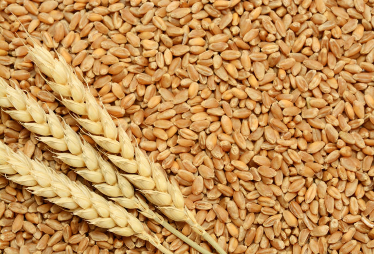 Bulgur Wheat Nutrition Facts & Bulgur Health Benefits