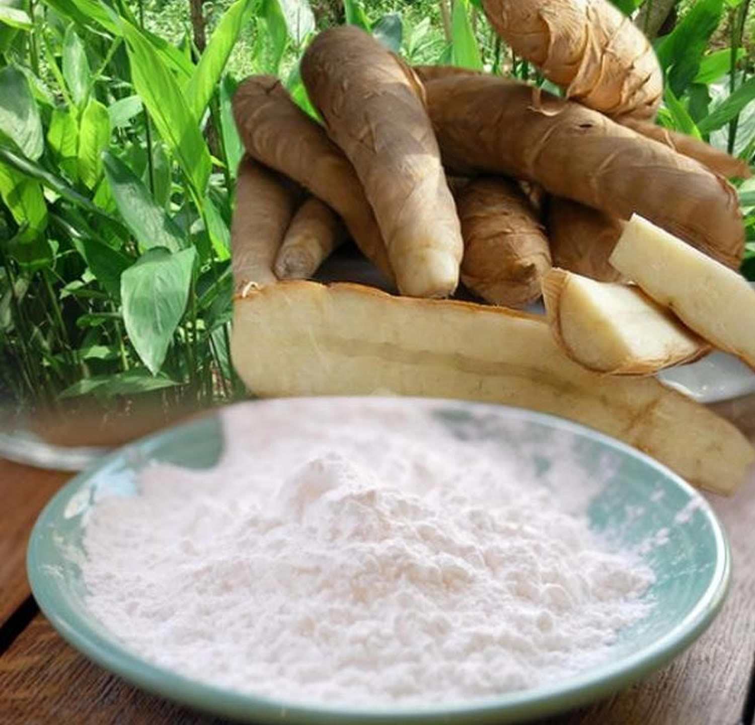 arrowroot-flour-arrowroot-starch-uses-nutrition-facts-carbs