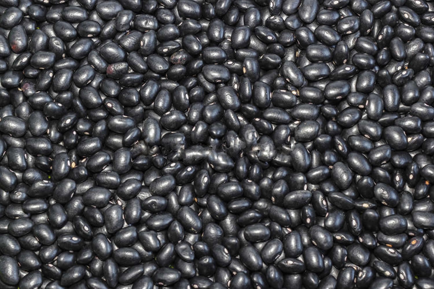 Black adzuki beans