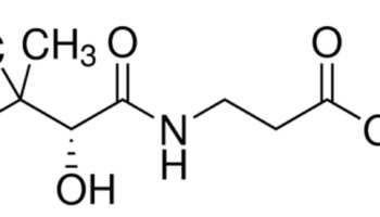 calcium pantothenate