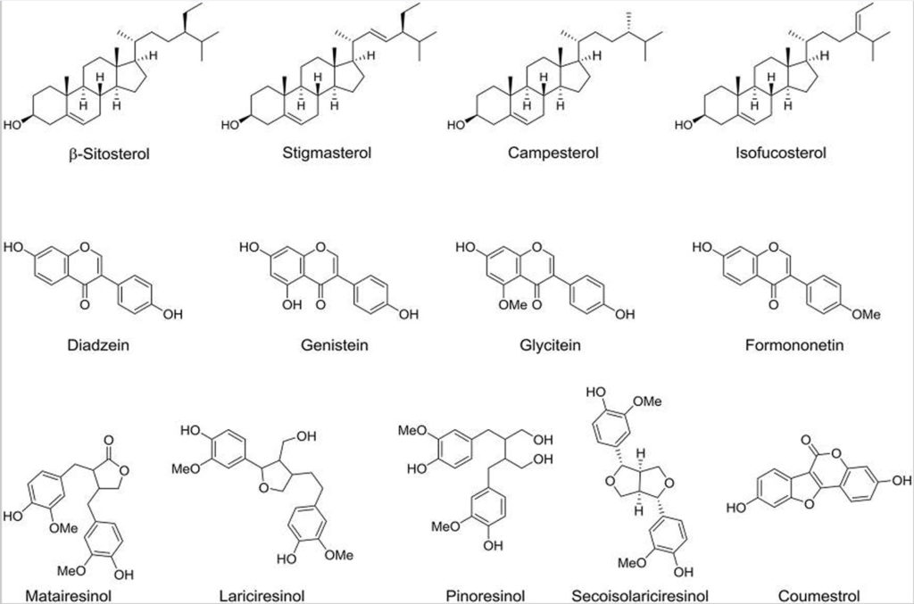 Dates, Fruit & Food Dates Nutrition Facts & Benefits of Eating Dates