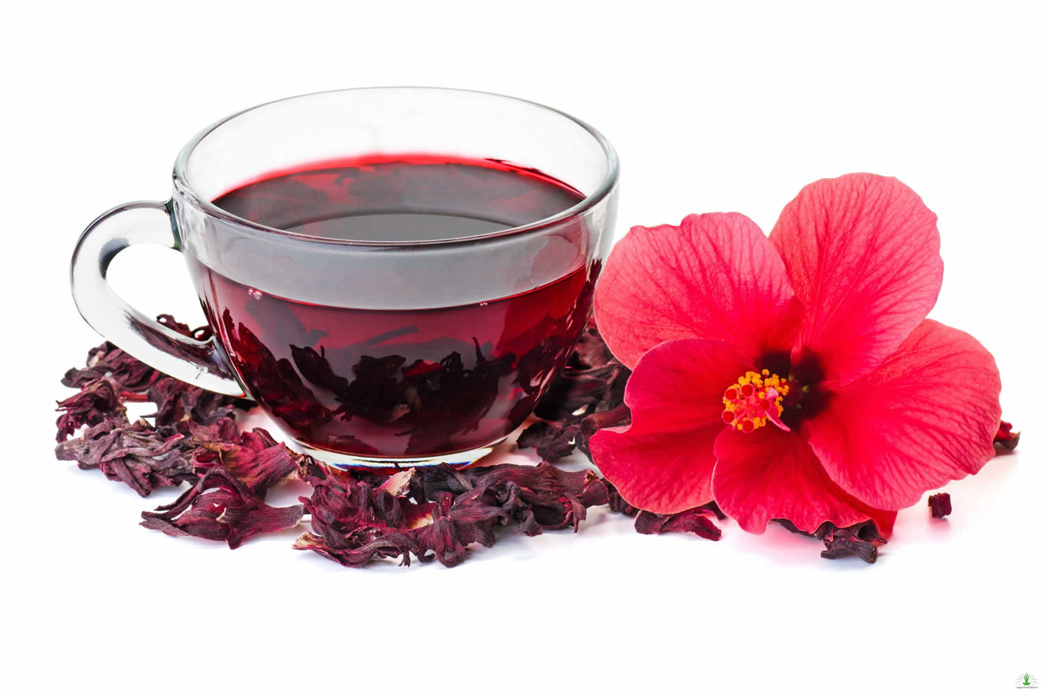 Hibiscus Tea Uses, For Blood Pressure & Blood Cholesterol