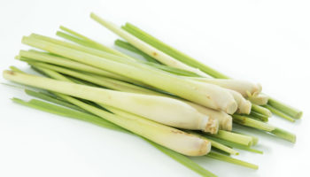 lemongrass health benefits