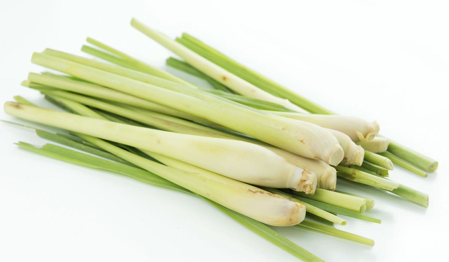 Is Lemon Grass Essential Oil Safe For Dogs