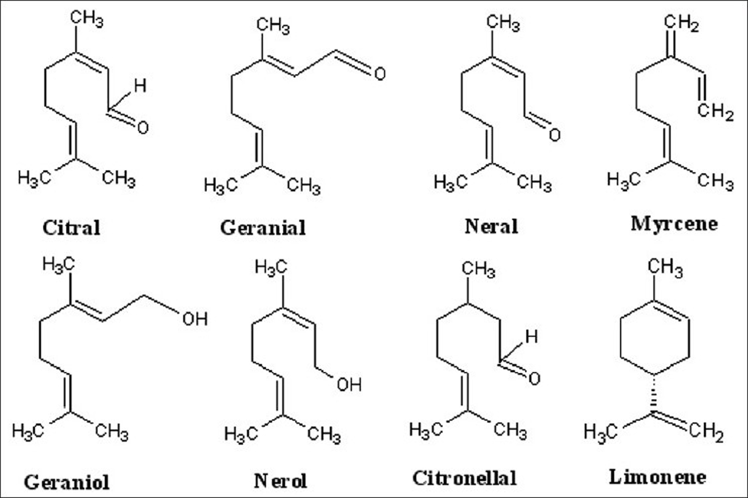 lemongrass essential oil major chemical constituents