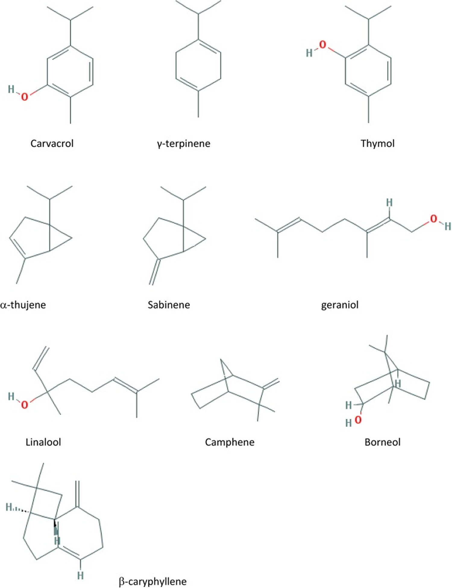 Marjoram active compounds