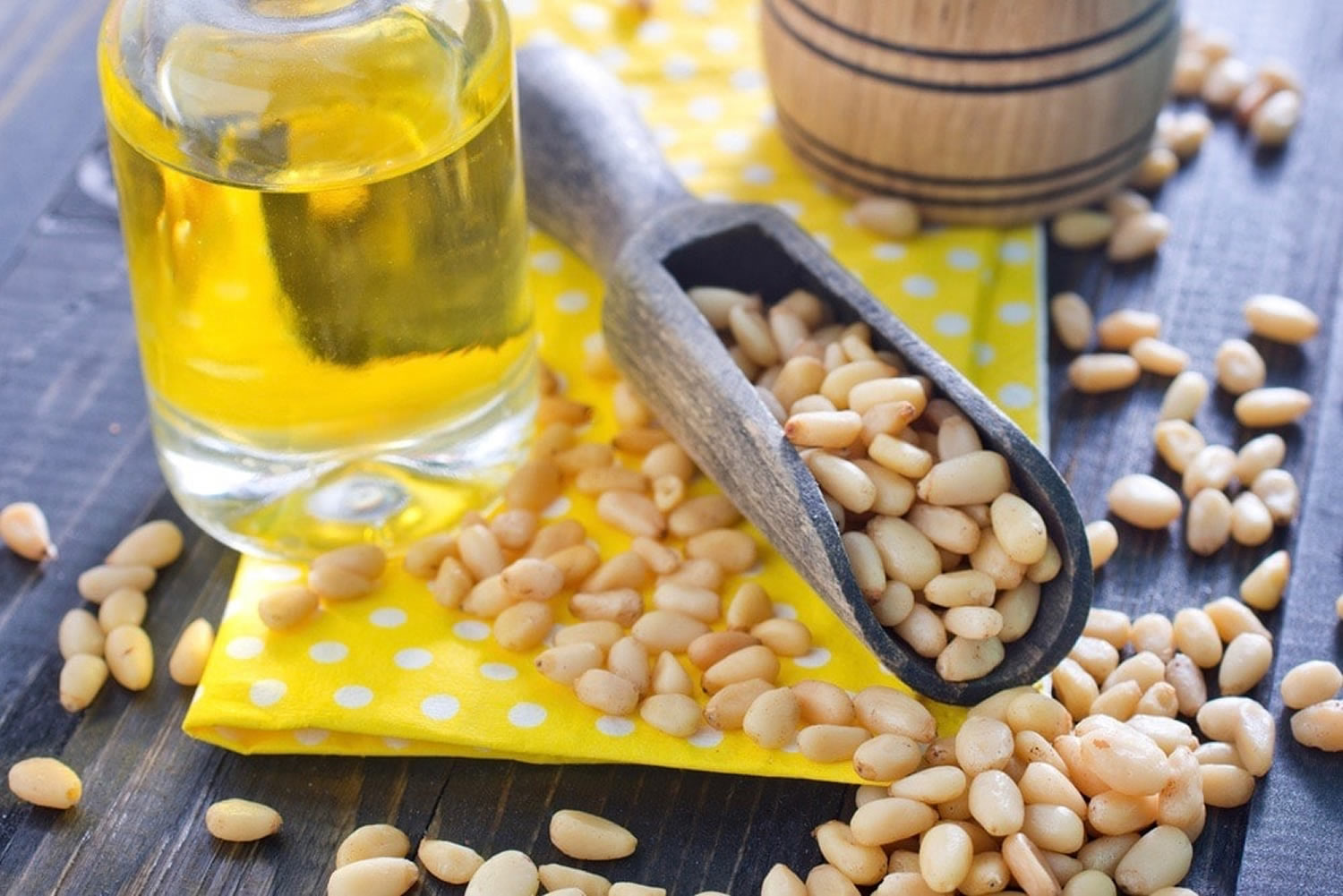 Pine Nut Oil Uses And Benefits Essential Oil