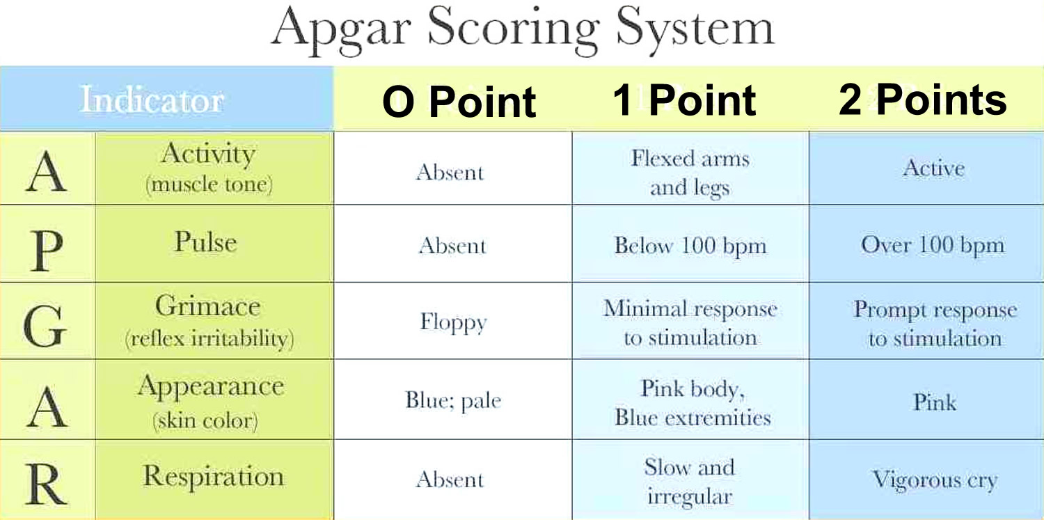 Apgar Score Apgar Score Chart and Interpretation