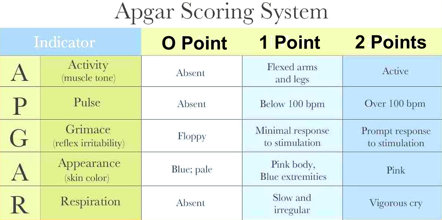 apgar score 3