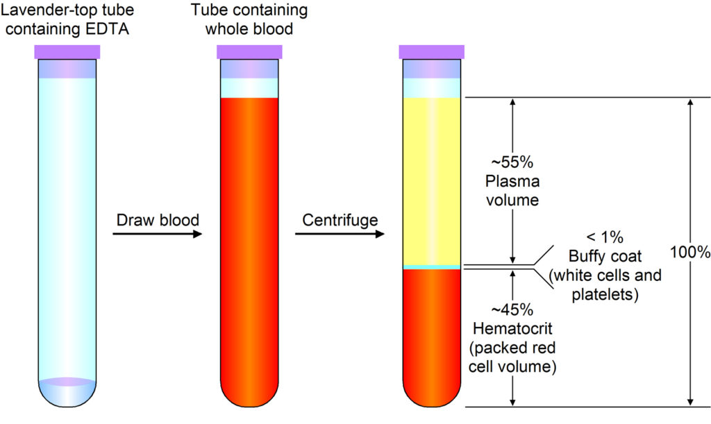 blood-donation-facts-blood-donation-rules-benefits-side-effects