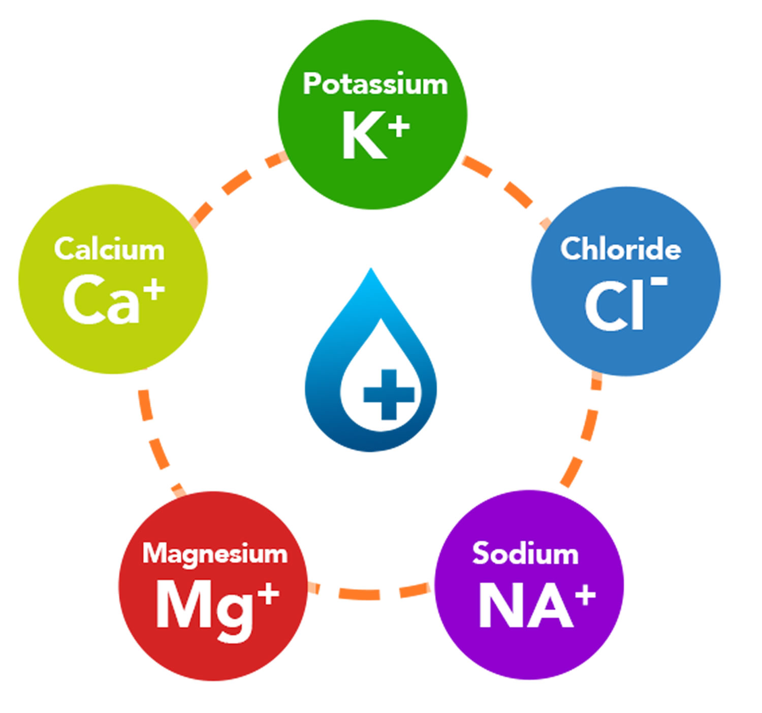 Electrolytes - Sources and Foods High In Electrolytes