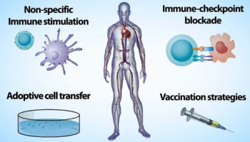 immunotherapy