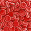 red blood cell count