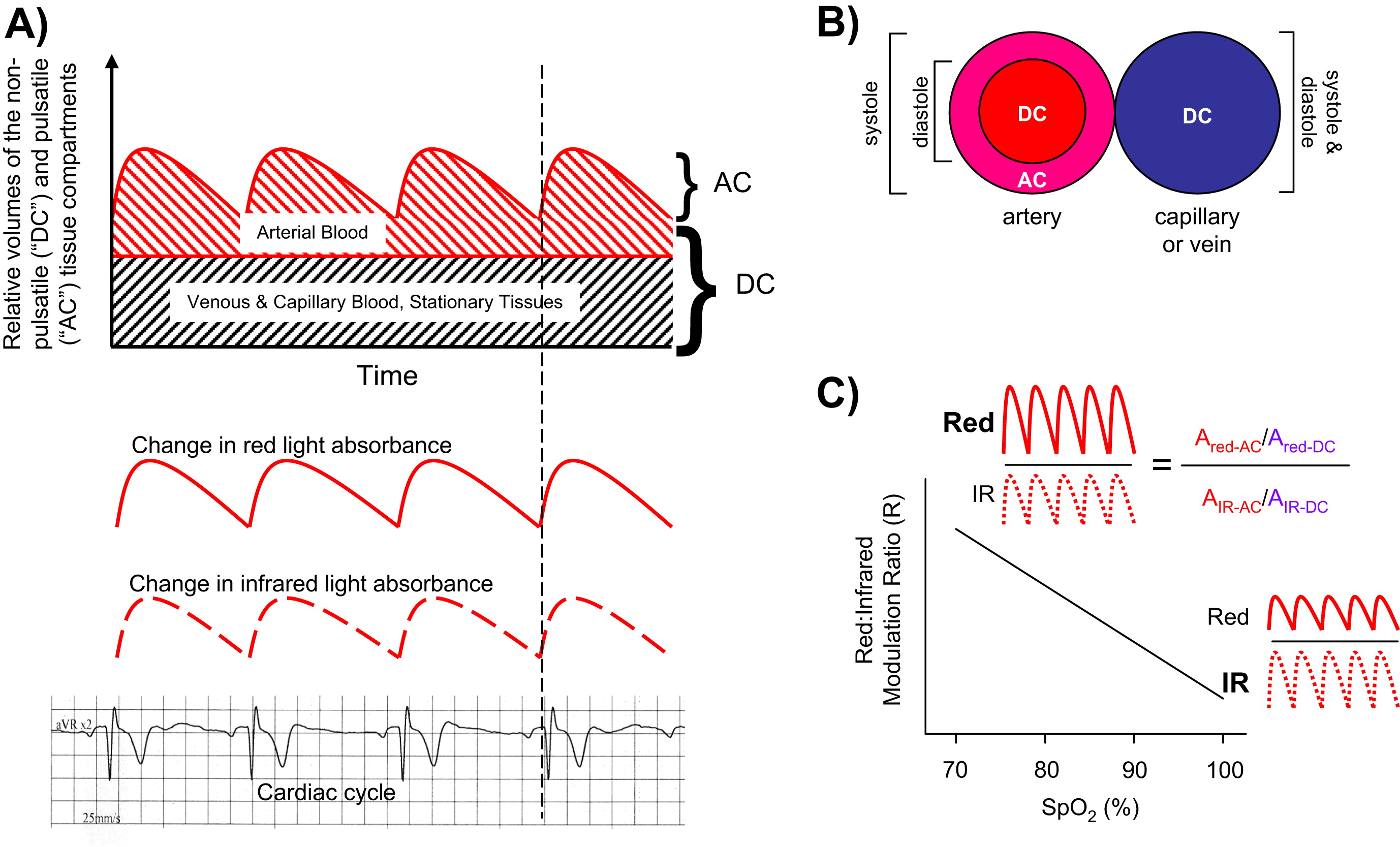 Oxygen saturation: normal values & measurement - cosinuss°