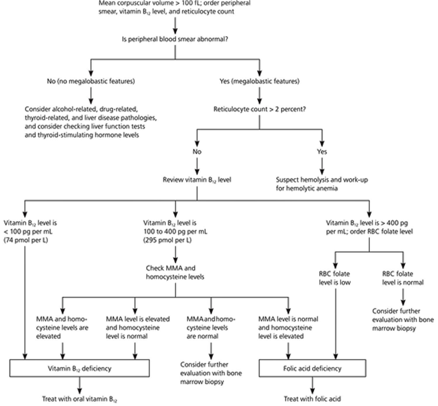 mch-blood-test-normal-range-low-and-high-mch